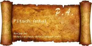 Pitsch Antal névjegykártya